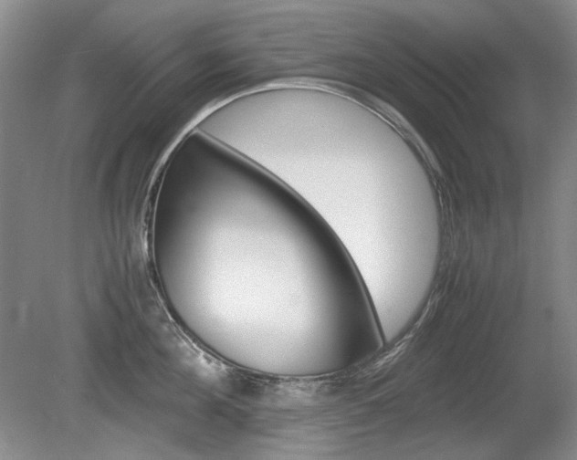 X0000080140908200612081023