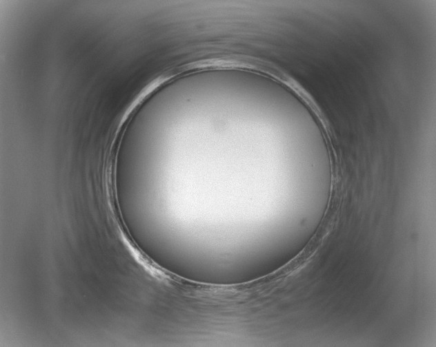 X0000080140909200612081023