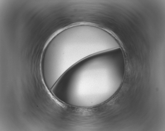 X0000080140910200612081023