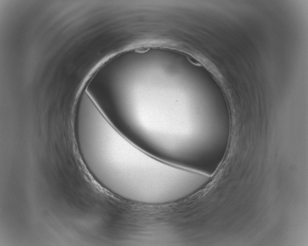 X0000080140912200612081023