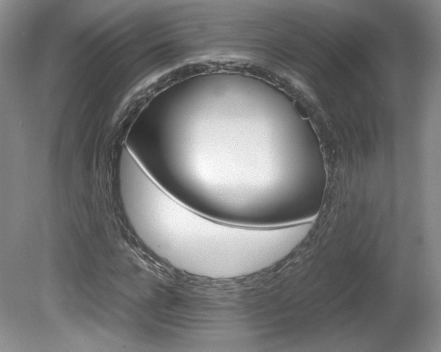 X0000080140920200612081022