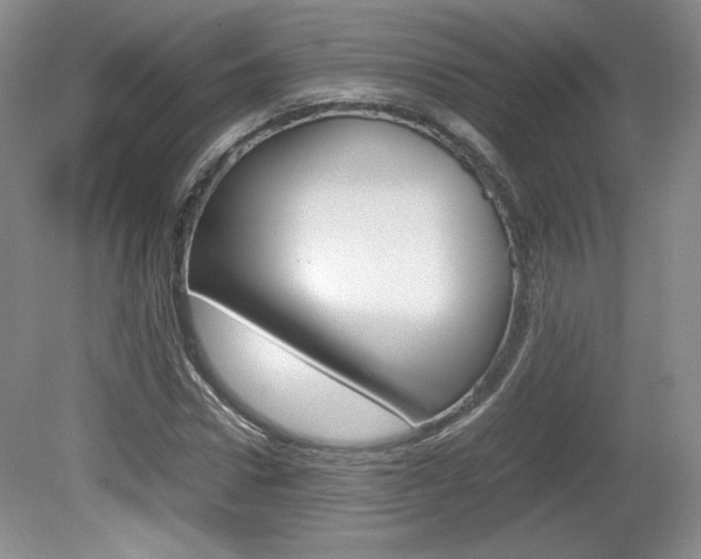 X0000080140922200612081022