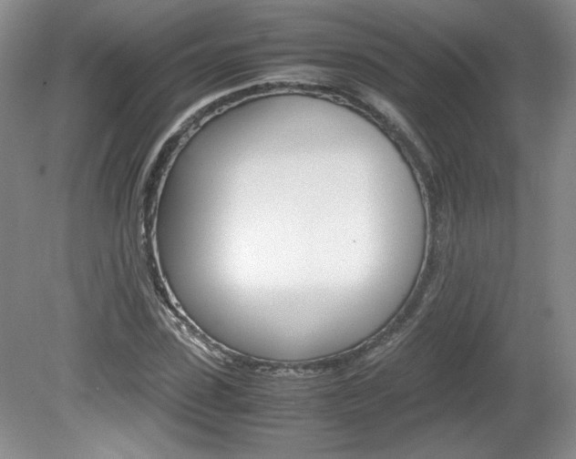 X0000080140923200612081022