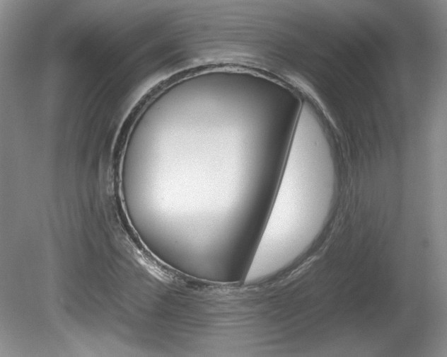 X0000080140924200612081022