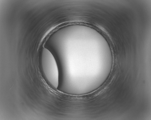 X0000080140925200612081022