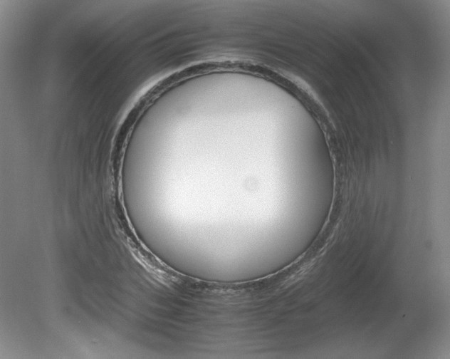 X0000080140927200612081022