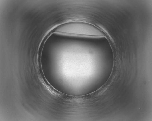 X0000080140932200612081022