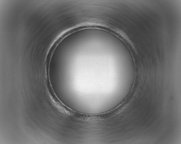 X0000080140934200612081022
