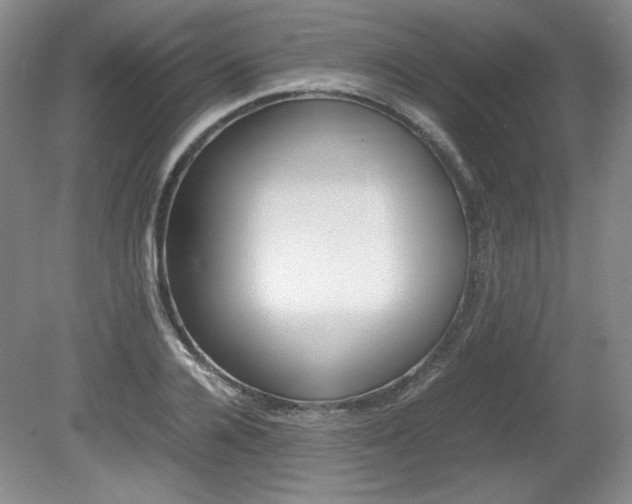 X0000080140936200612081023
