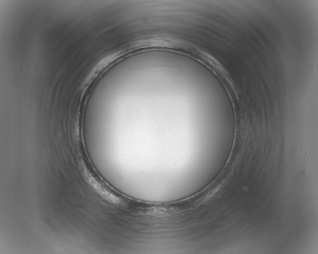 X0000080140938200612081023