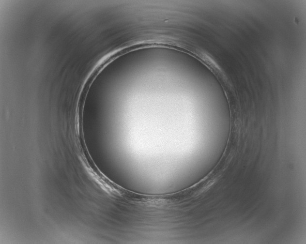 X0000080140940200612081023