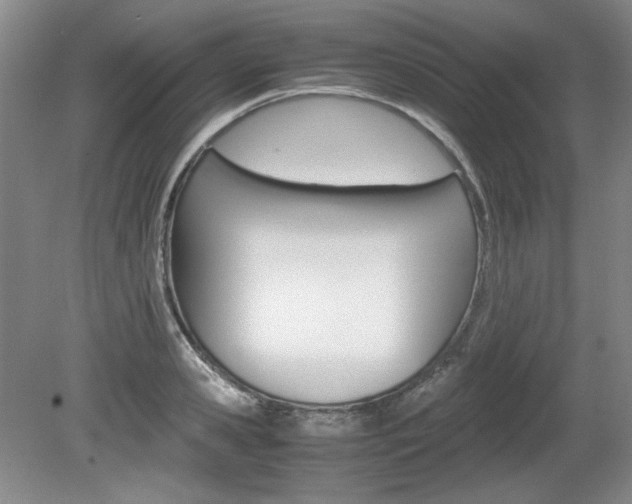 X0000080140941200612081023