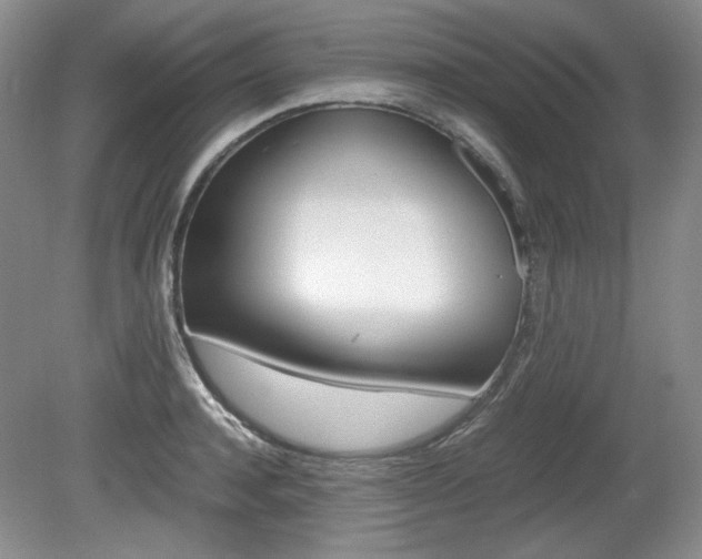 X0000080140944200612081023