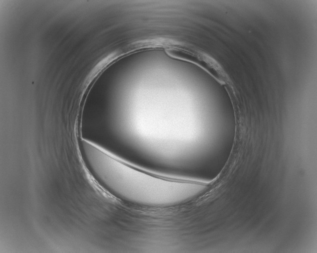 X0000080140946200612081023