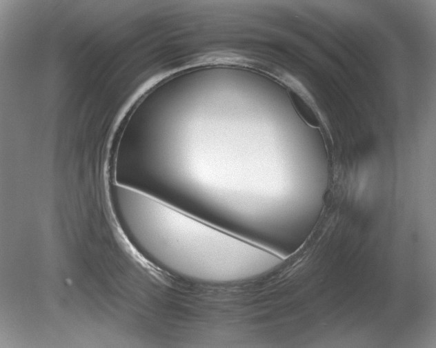 X0000080140947200612081023