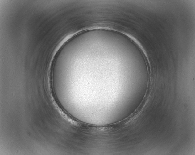 X0000080140949200612081023