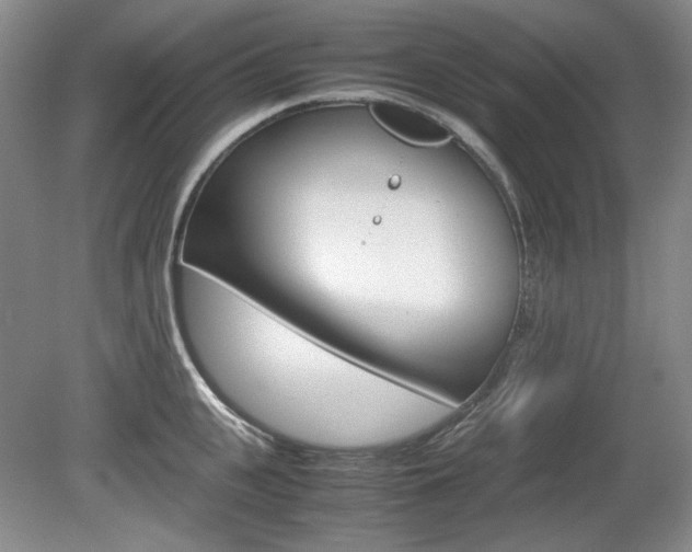 X0000080140951200612081023