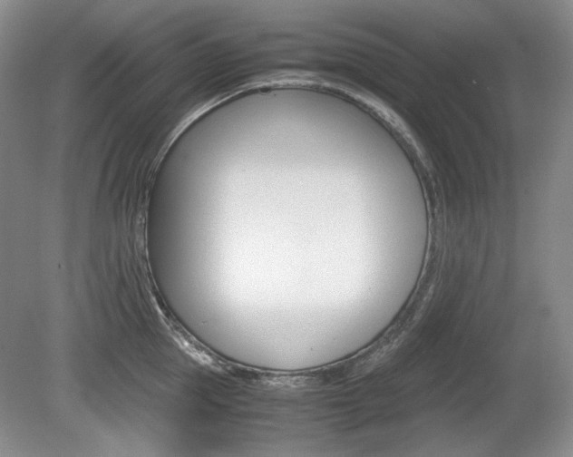 X0000080140953200612081023