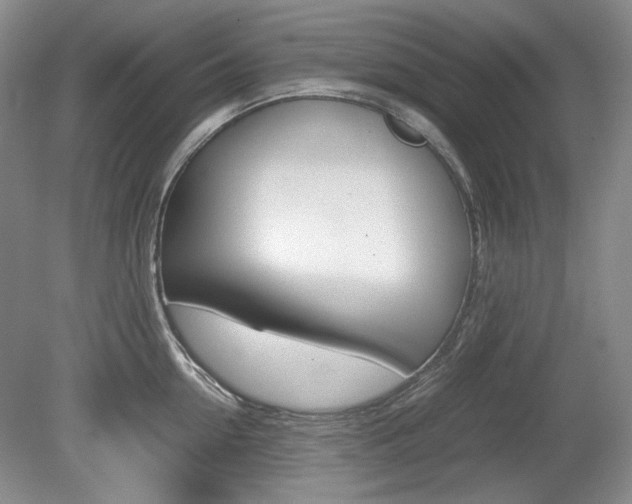 X0000080140954200612081023
