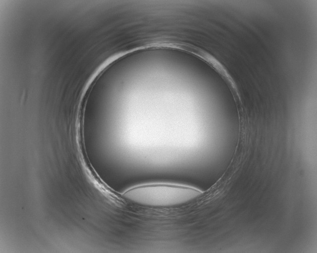 X0000080140955200612081023