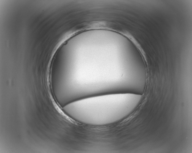 X0000080140957200612081023