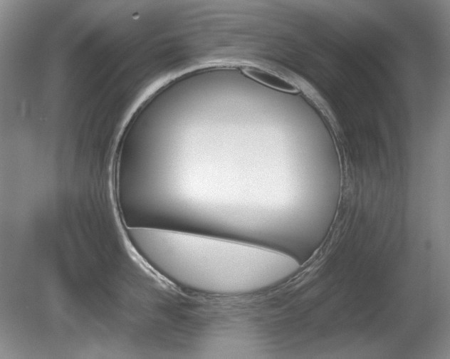 X0000080140958200612081023