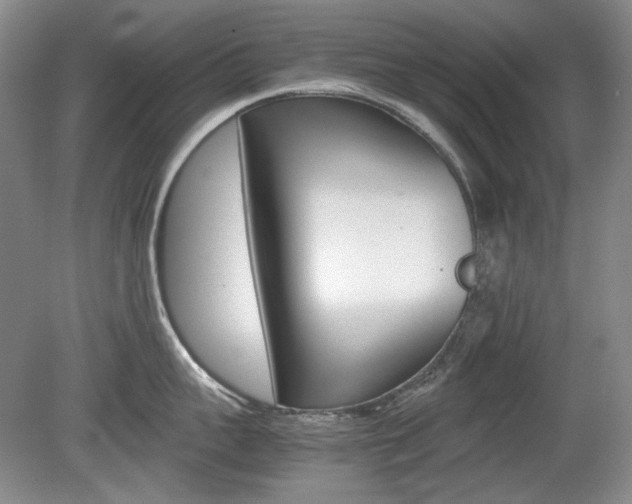 X0000080140959200612081023