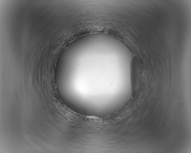X0000080140961200612081022