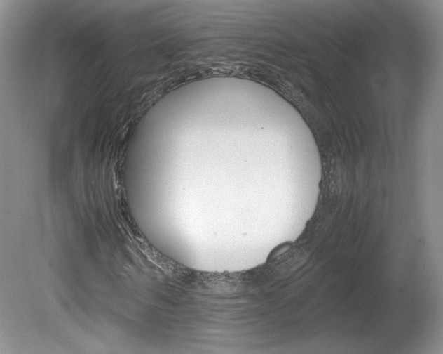 X0000080140962200612081022