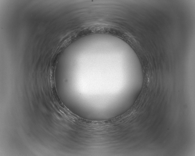 X0000080140964200612081022