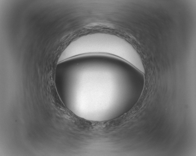 X0000080140965200612081022