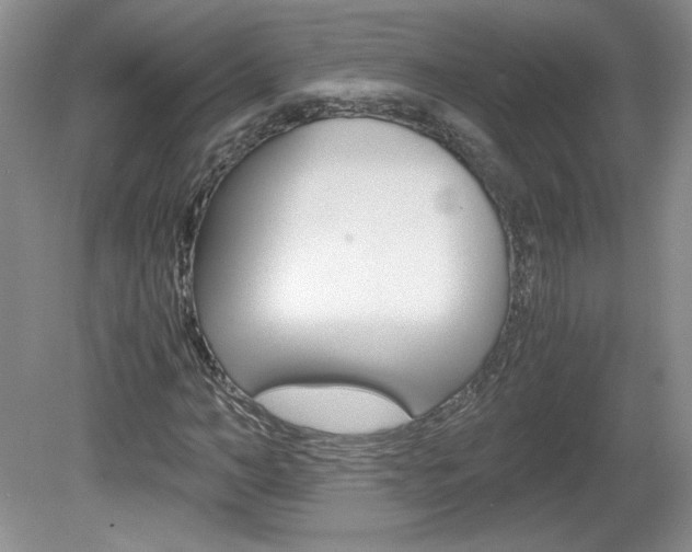 X0000080140966200612081022