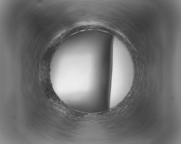 X0000080140967200612081022