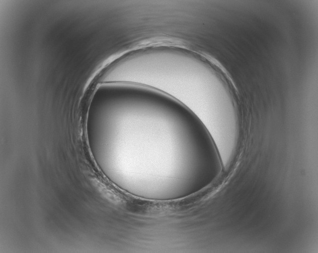 X0000080140973200612081022
