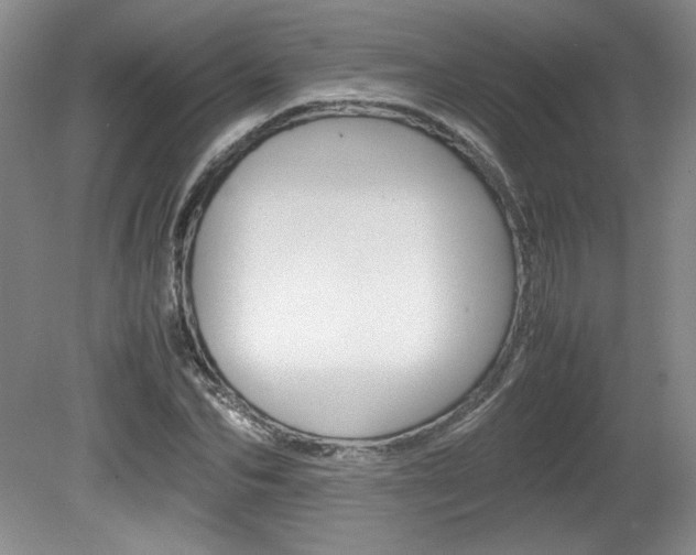 X0000080140974200612081022