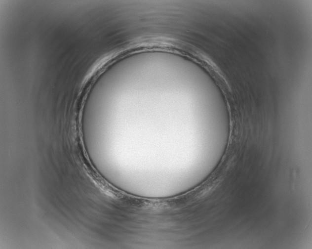 X0000080140978200612081022