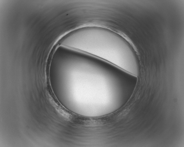 X0000080140980200612081022