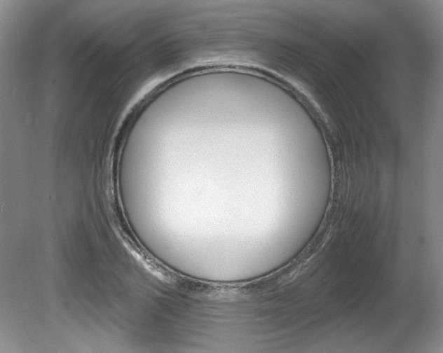 X0000080140982200612081022