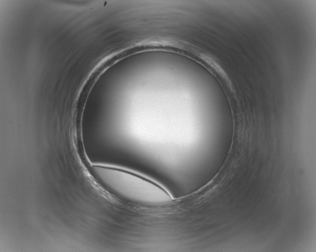 X0000080140984200612081022
