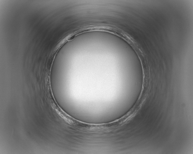 X0000080140985200612081022