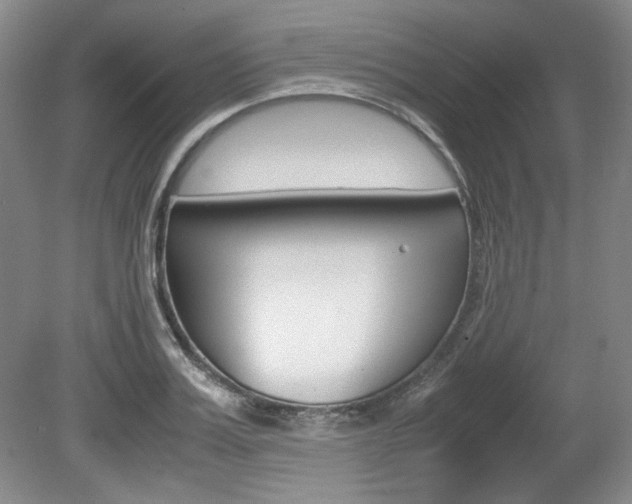 X0000080140987200612081022