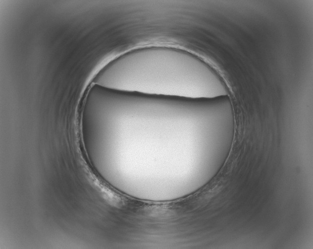 X0000080140990200612081022