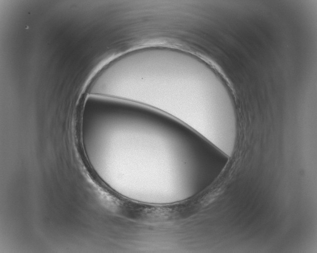 X0000080140991200612081022