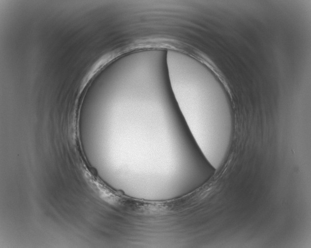 X0000080140994200612081022