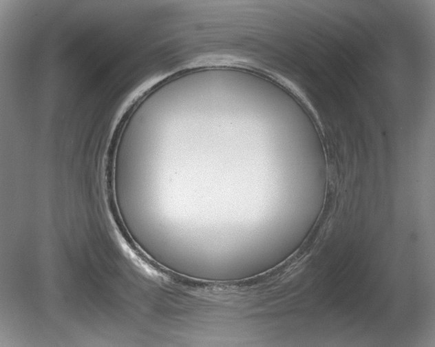 X0000080140995200612081022
