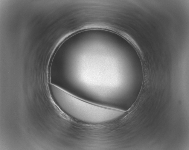 X0000080140996200612081022