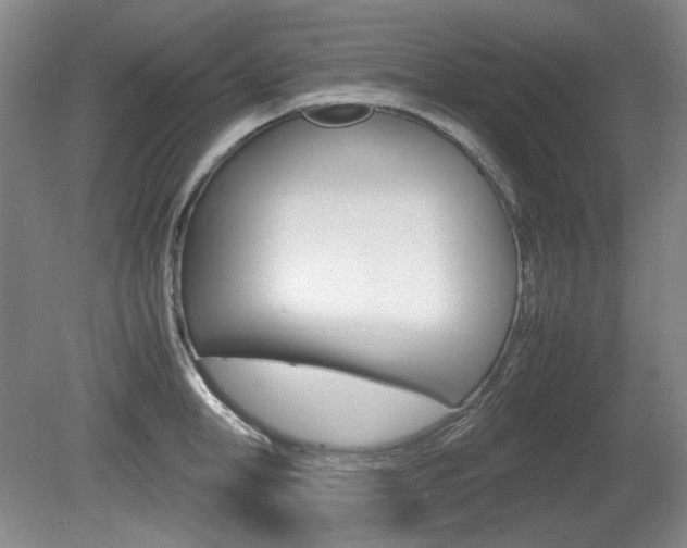 X0000080140998200612081021