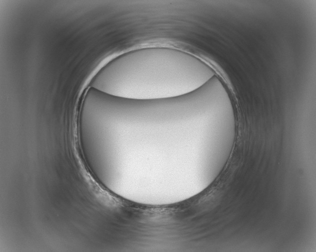 X0000080141000200612081021