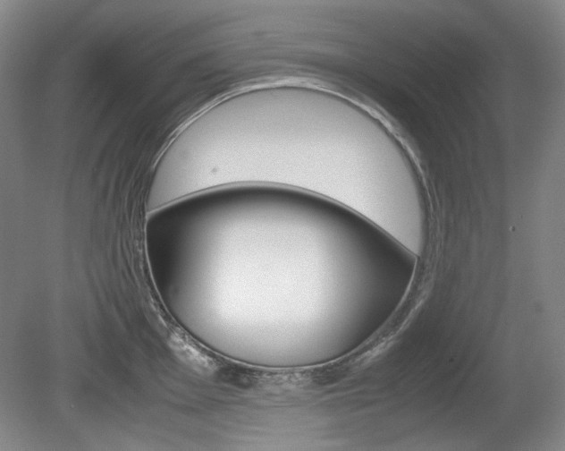 X0000080141001200612081021