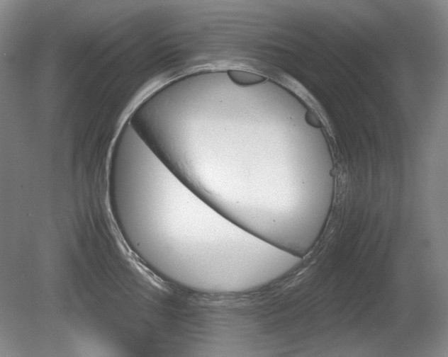 X0000080141002200612081021